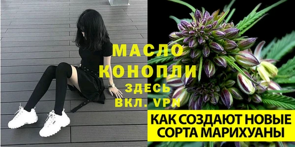 ECSTASY Зеленокумск