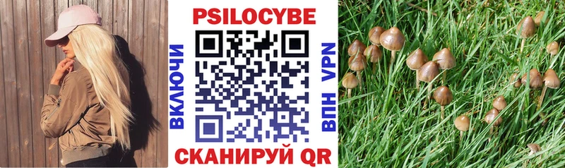 Купить закладки  Теберда  Галлюциногенные грибы GOLDEN TEACHER 